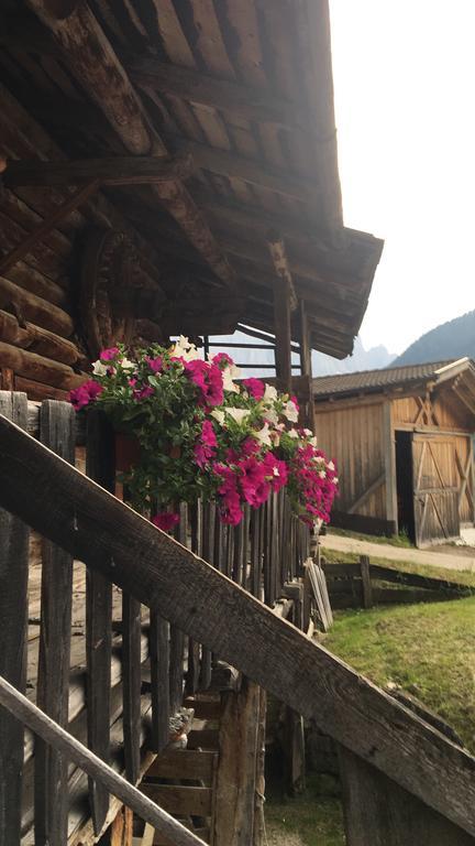 Bed and Breakfast Garni Neidia Сельва-ди-Валь-Гардена Экстерьер фото