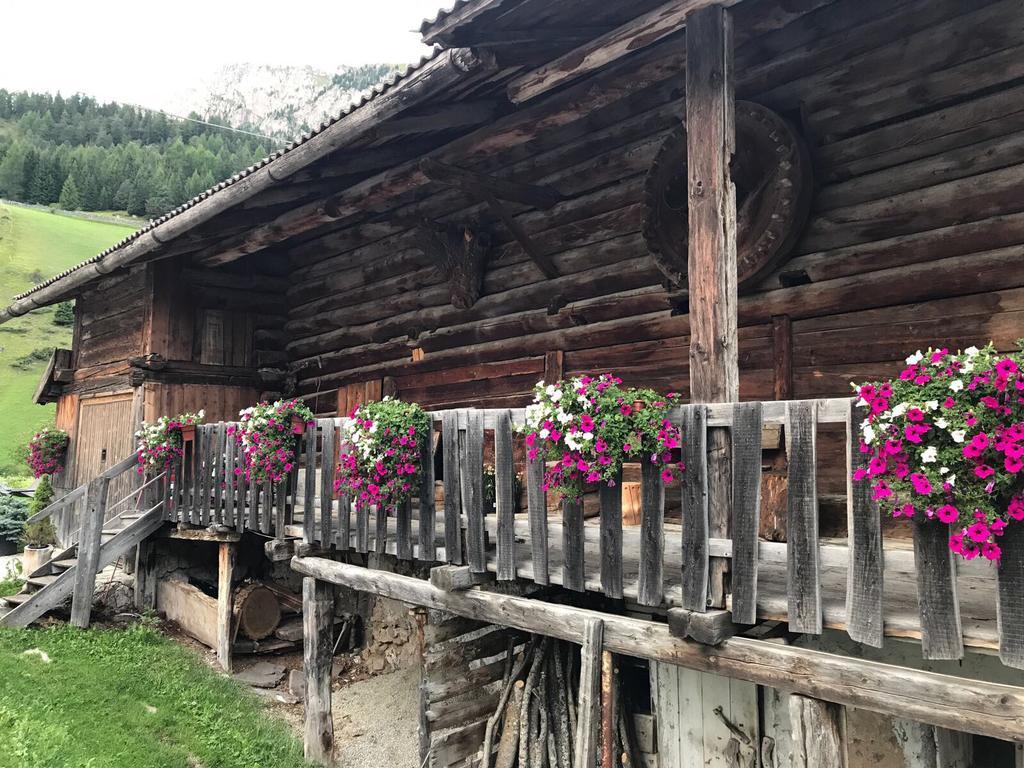 Bed and Breakfast Garni Neidia Сельва-ди-Валь-Гардена Экстерьер фото